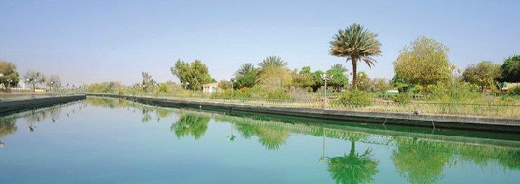 One To One Hotel & Resort Ain Al Faida Al Ain Esterno foto
